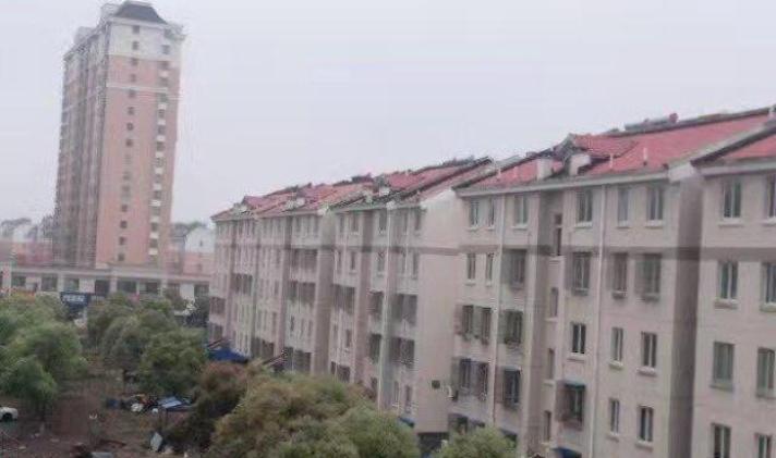 乍浦二手房最新信息概览,最新房源、价格及交易动态一网打尽