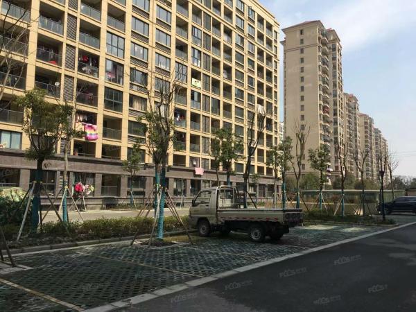 乍浦二手房最新信息概览,最新房源、价格及交易动态一网打尽