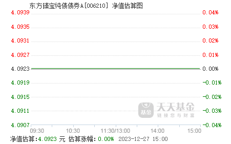 今日377240基金净值探索,小巷宝藏与特色小店背后的秘密揭秘