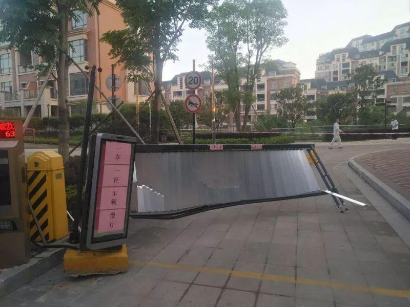 磐龙世纪城最新动态,友情的温馨日常