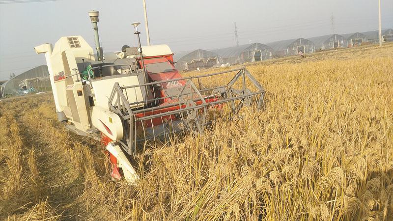 科技重塑农业，最新自走式花生摘果机让生活因你而不同