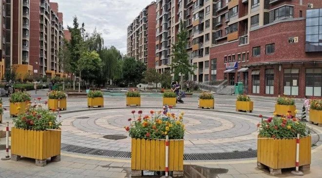 新蔡学府雅居,友情的温馨日常最新消息与故事