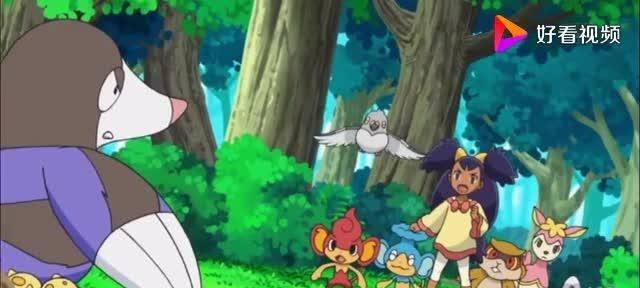 神奇宝贝最新版动画片,小巷中的隐藏宝藏揭秘