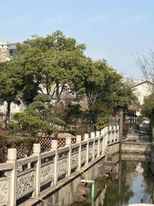 常熟支塘二手房市场深度解析，最新动态与市场概览