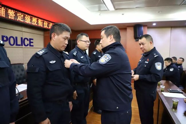 内蒙古辅警改革最新动态解析，最新消息与观点阐述