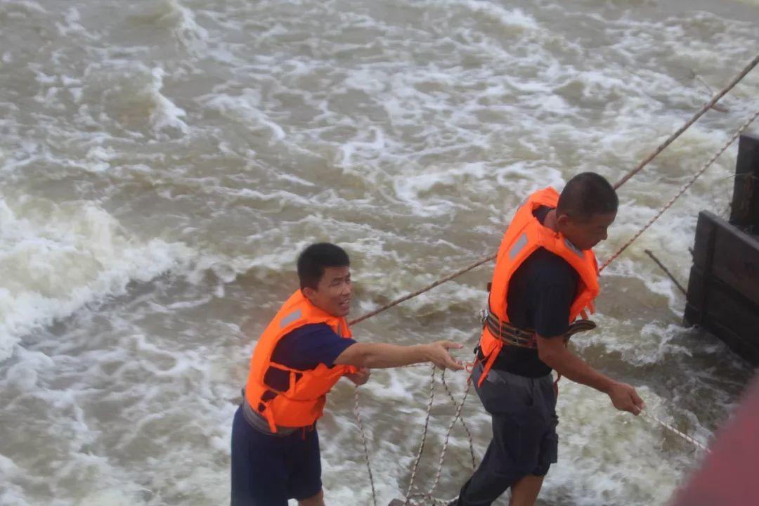 瓦房店三台乡最新发展动态深度分析与观点影响综述