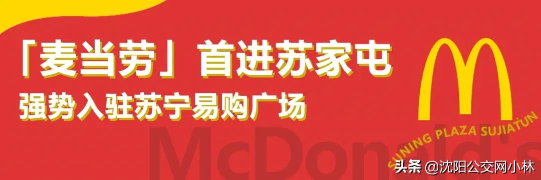 沈阳地铁6号线最新进展详解,最新动态与指南