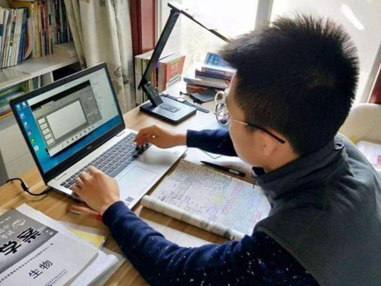 辽宁省延迟退休政策最新解读，最新调整与实施细节揭秘