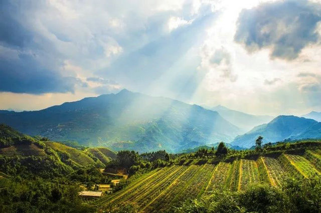 赖子山庄最新手机版下载,开启自然美景探索之旅