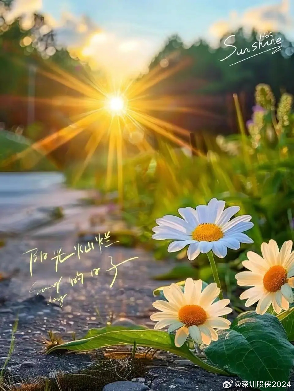 最新一天阳光灿烂的标题,阳光正好,今日全新启航