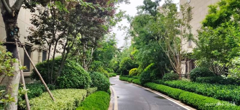 璀璨明珠登场，时代变革见证，最新上市引领潮流