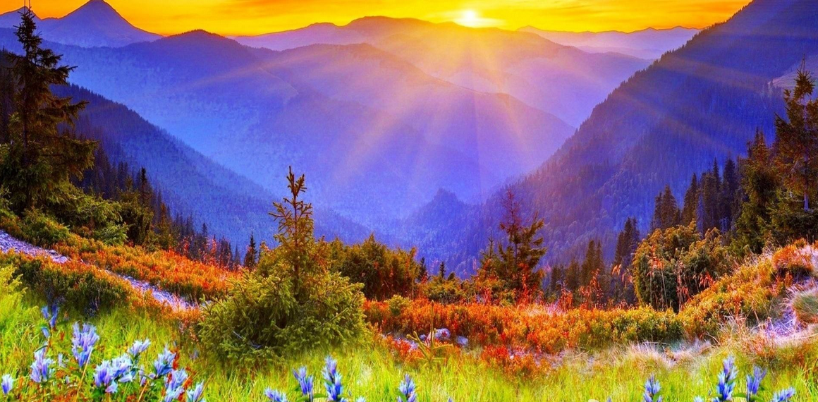 最新阳光日,一天的希望和温暖