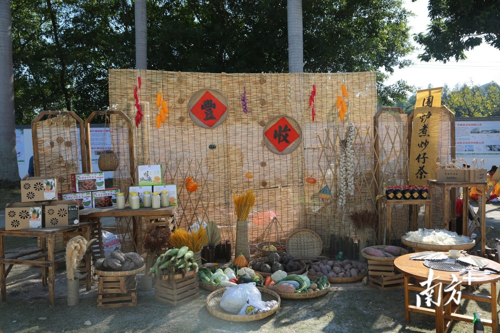 探索小巷隐藏宝藏,特色小店的最新人带你领略独特魅力