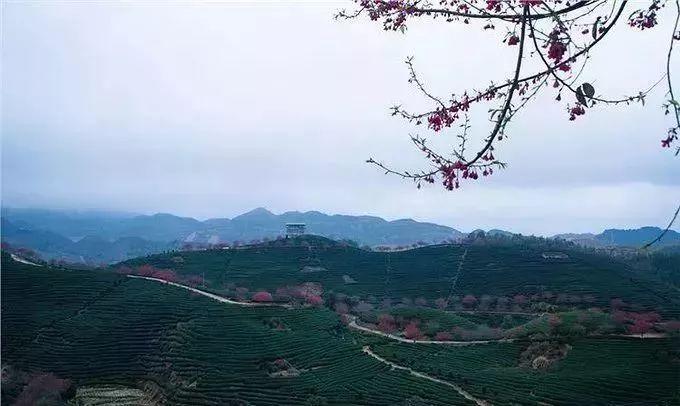 最新消息 第5页