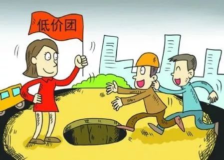 最新诈骗动态与心灵之旅，探寻自然美景中的平静绿洲