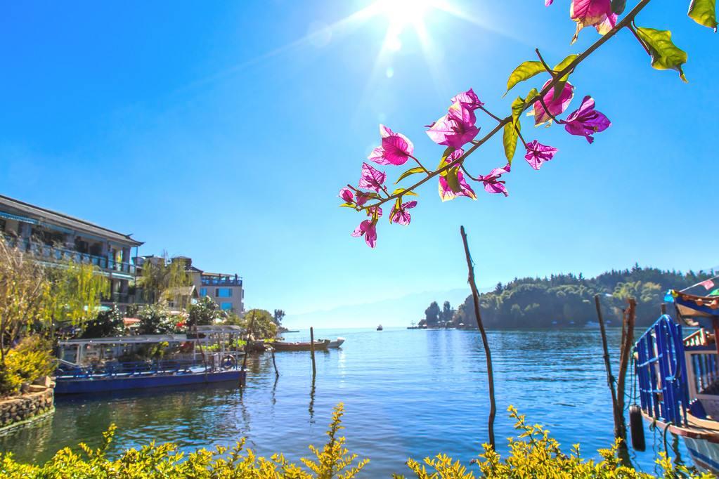 最新通道,最新通道，踏上自然美景的探索之旅，寻找内心的平和之地