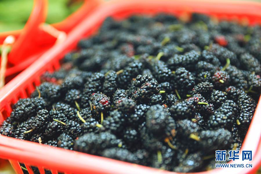 探索最新鲜事物的魅力，新奇世界的探索之旅