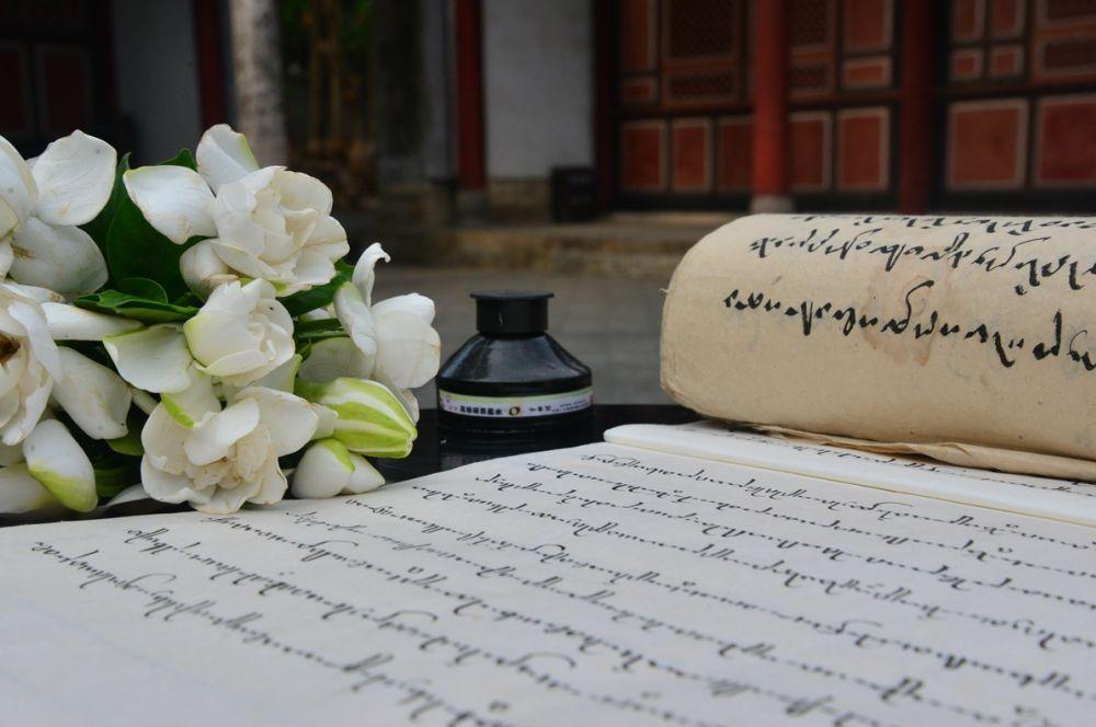 贤最新,探索与众不同的世界之旅!