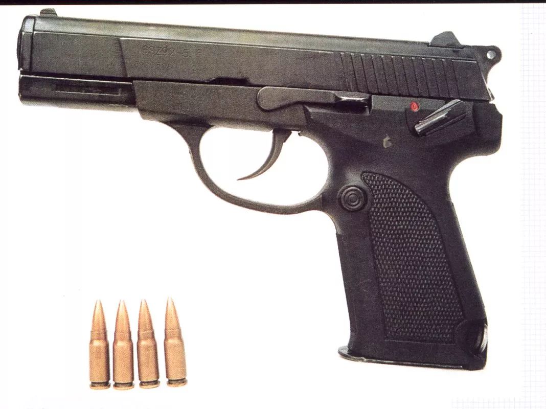 枪最新,枪最新，掌握枪支知识技能的全面步骤指南