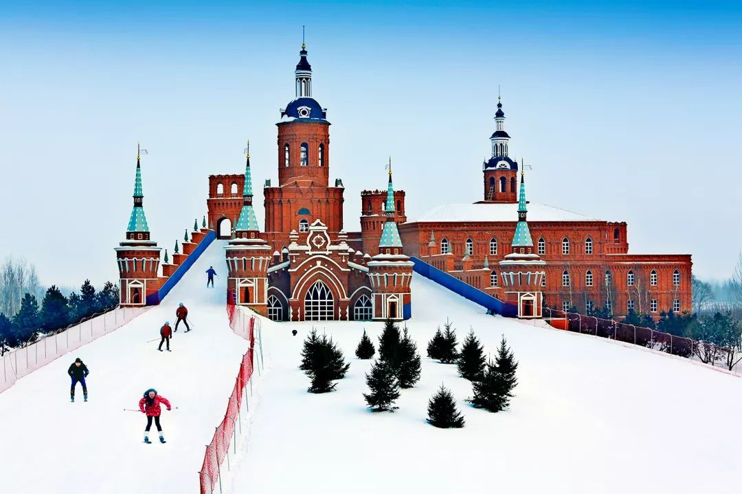 哈尔滨最新资讯,冬日暖心故事概述