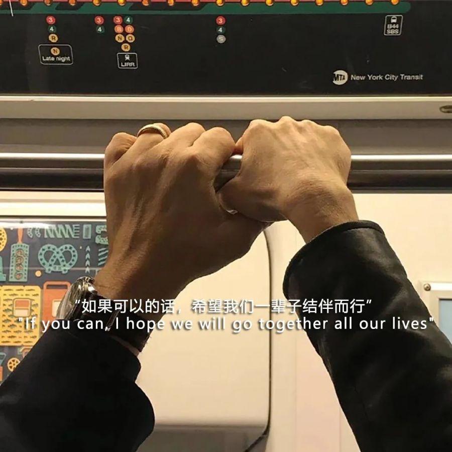 最新房屋动态,与自然美景的浪漫之旅,探寻内心平和的居所