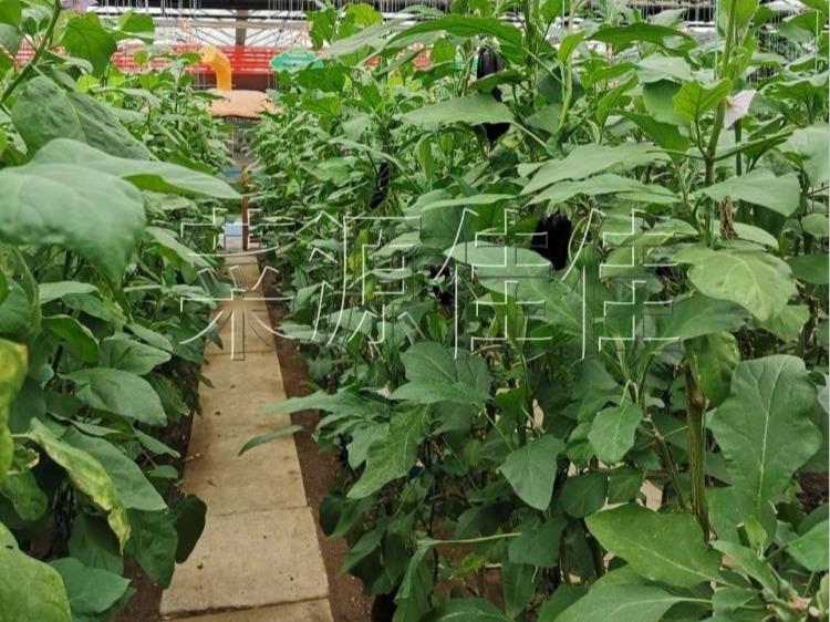 江苏自然美景探索之旅,追寻内心的宁静