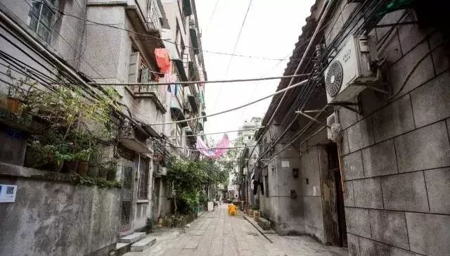 小巷深处的神秘宝藏,最新麻探秘