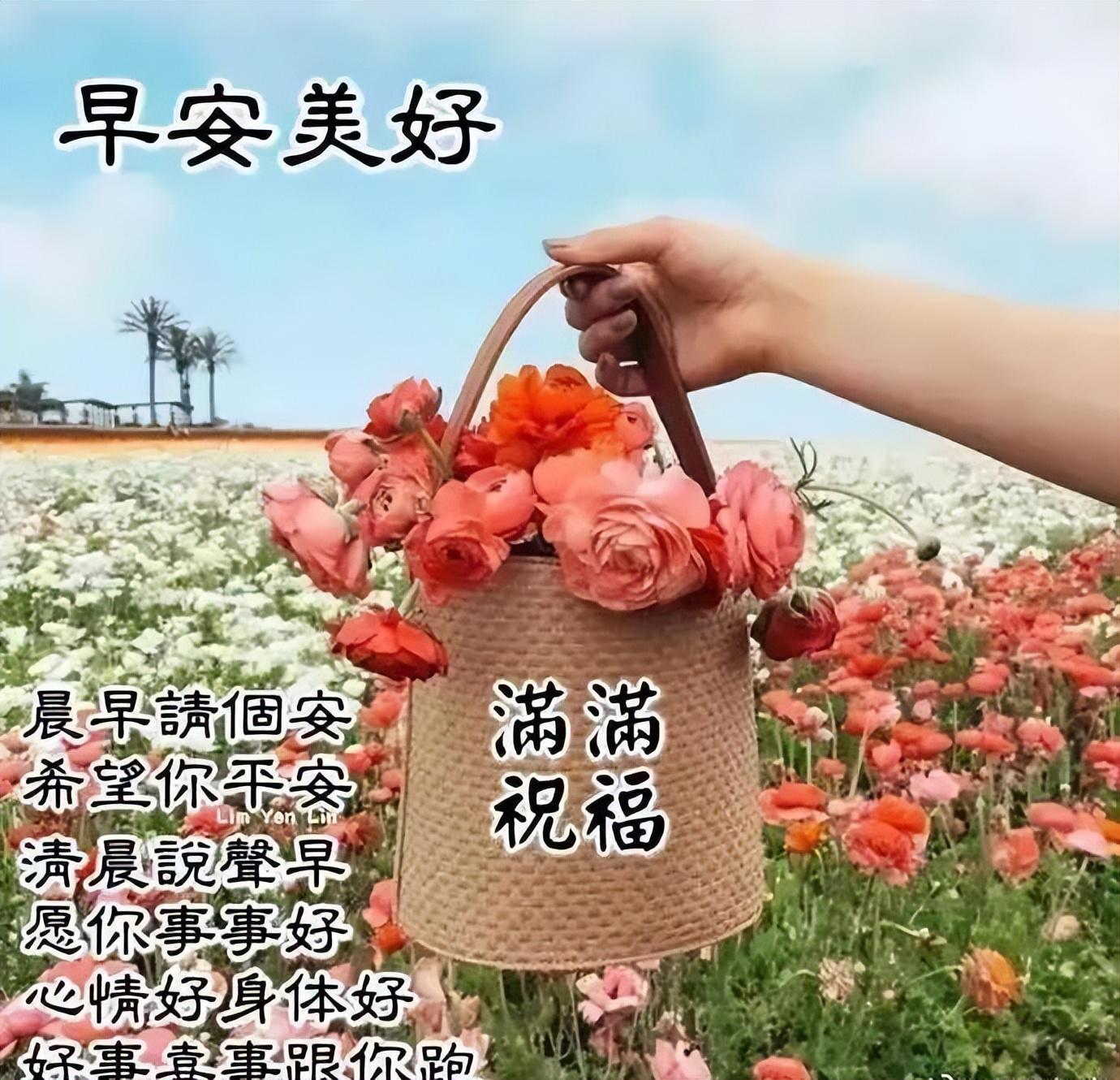 最新广告视频,友情的温馨瞬间,触动心灵的一刻