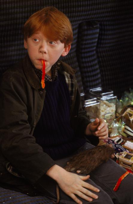 日常小趣事的魔法世界,最新动画片汇总