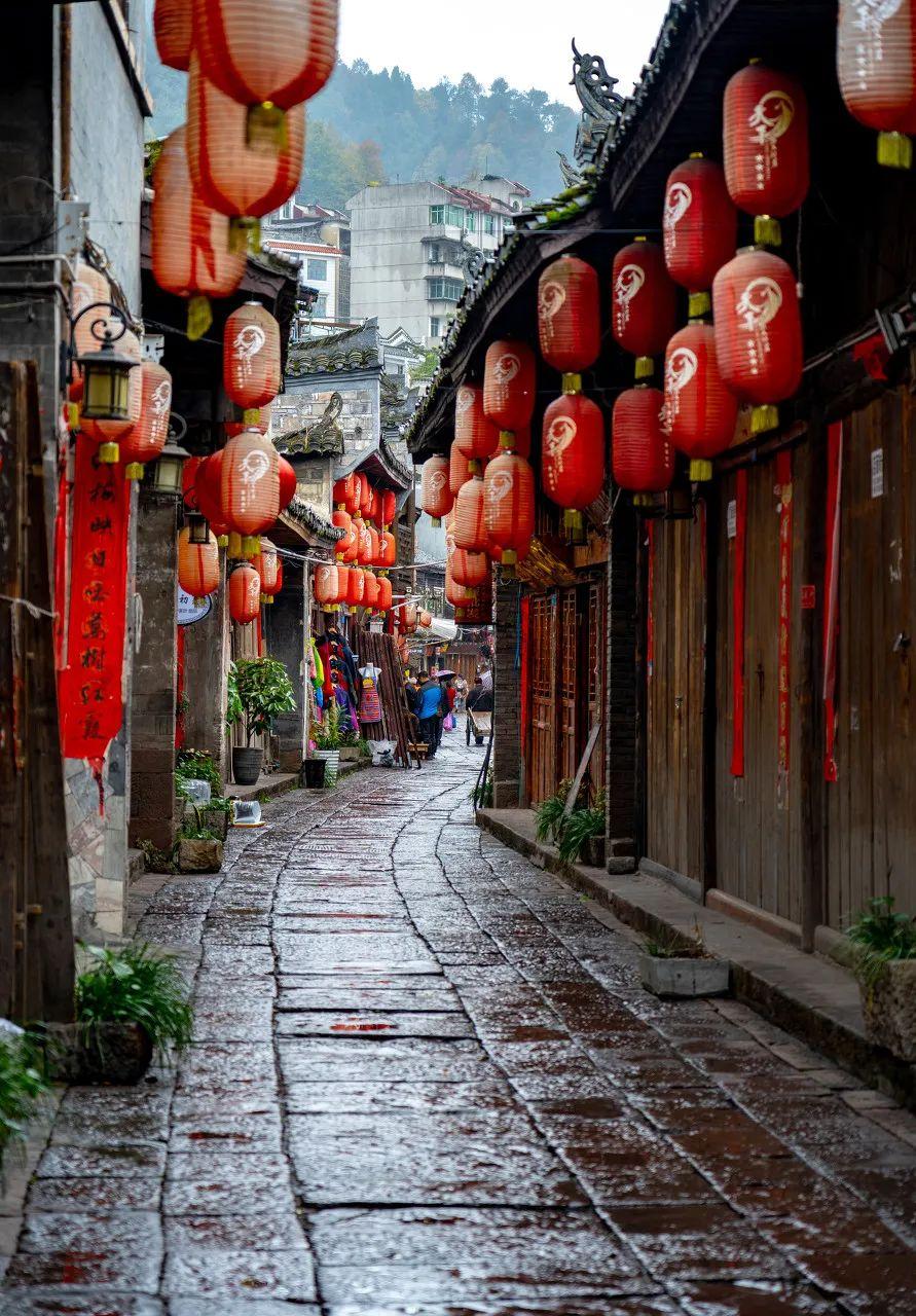 互联网最新动态下的自然美景探索，心灵治愈之旅启程