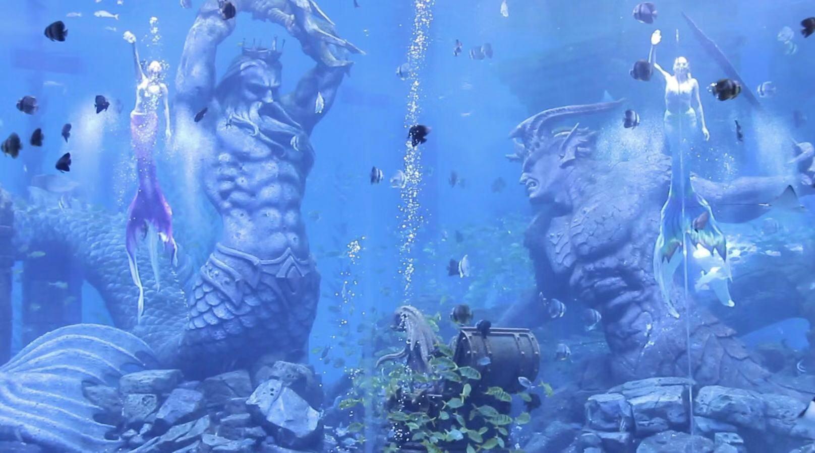 海贼王最新动态，探索海洋世界的全新冒险篇章