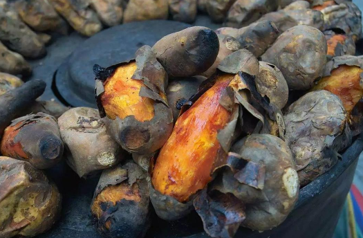 PPT最新更新，小巷深处的独特风味——美食探索之旅