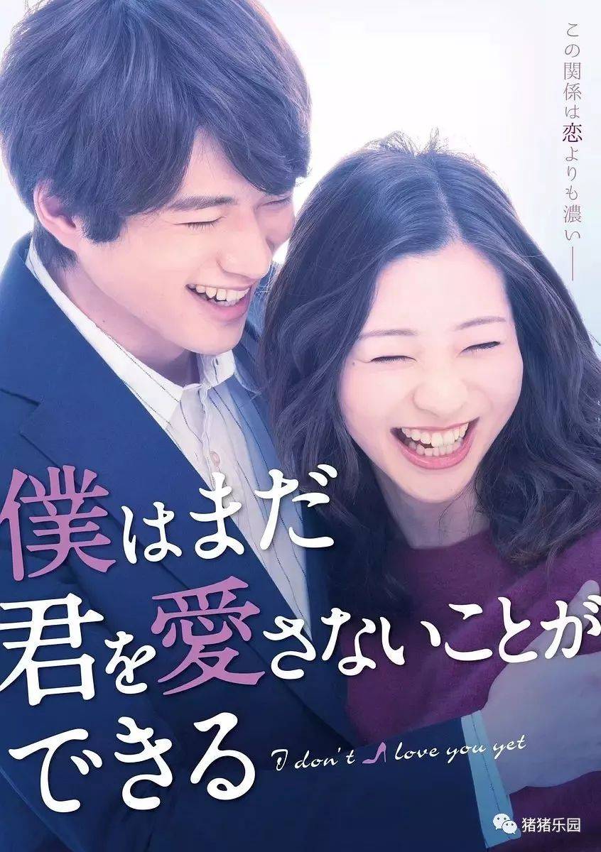 日剧最新，温馨日常与友情的纽带