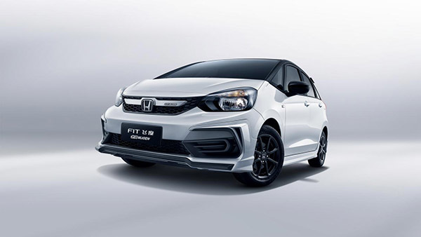 飞度最新，小巷深处的隐藏瑰宝探索