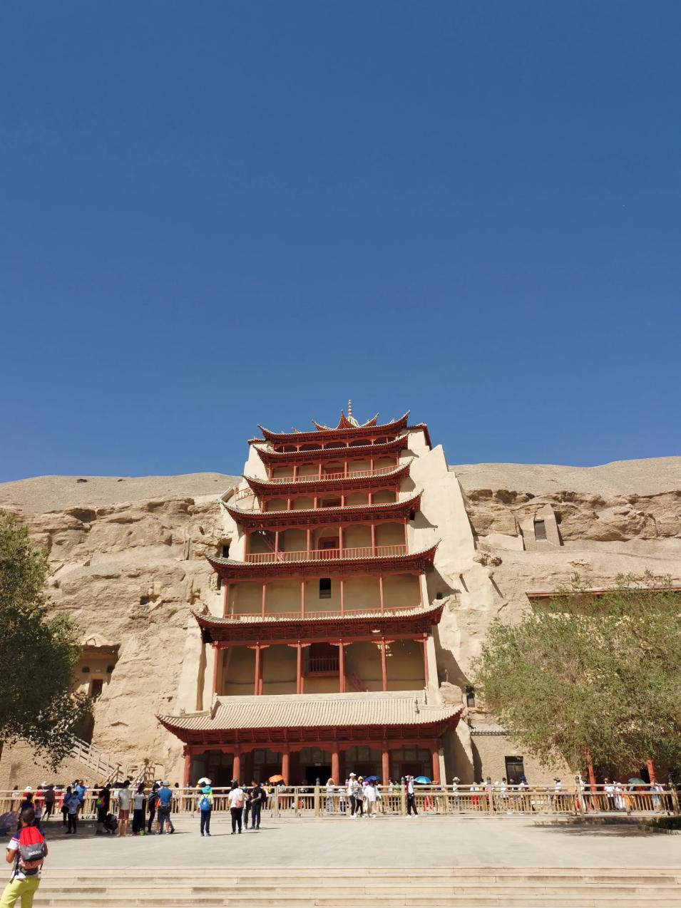 UFC格斗世界的最新动态，璀璨明珠闪耀擂台