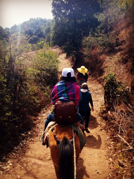 湖南疫情下的自然探索之旅,寻求内心的宁静与平和