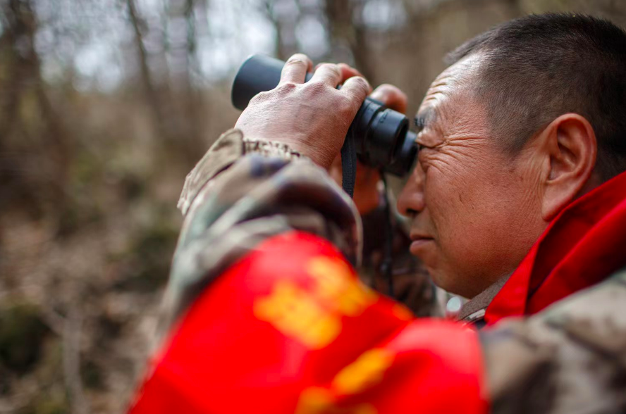 湖南疫情下的自然探索之旅,寻求内心的宁静与平和
