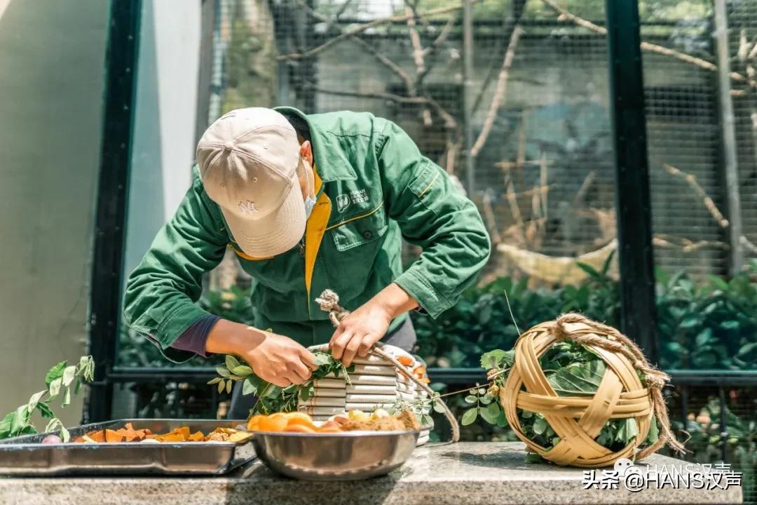 武汉最新动态，城市变迁中的学习自信与成就感