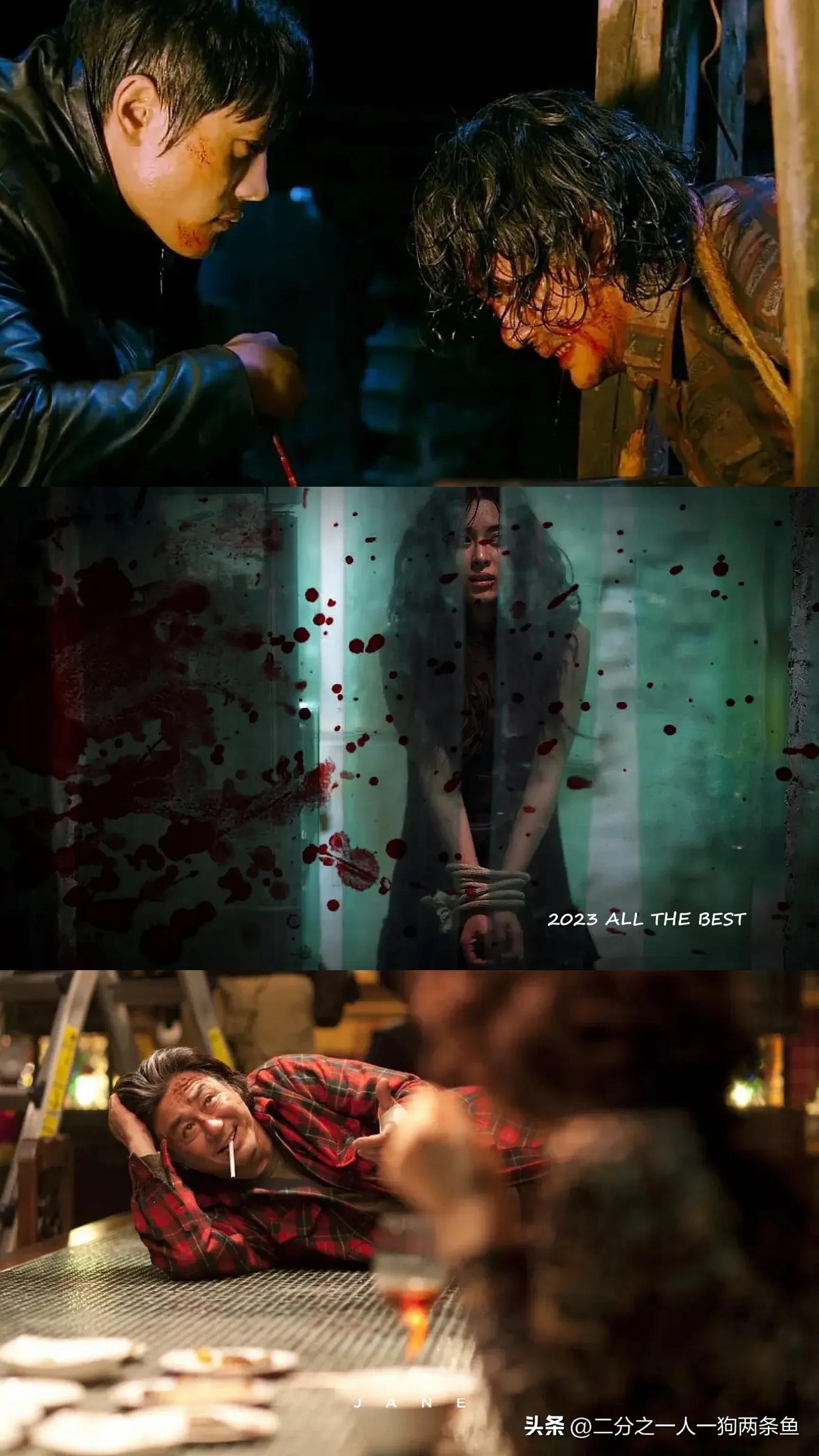 电影最新观看，时代的视觉盛宴