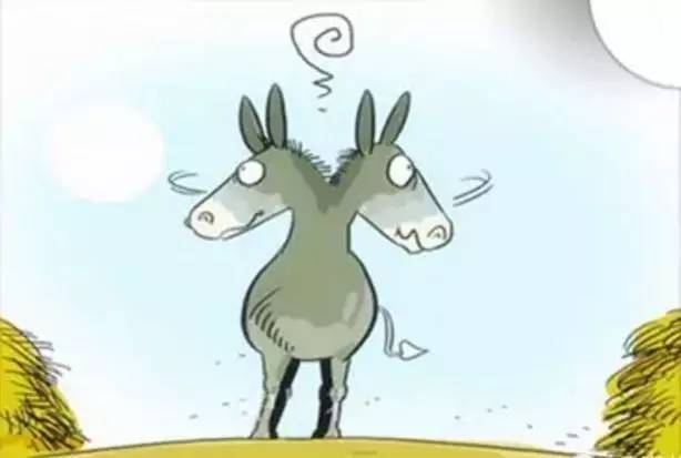 驴最新,时代背景下的印记与事件进展