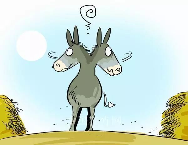 驴最新,时代背景下的印记与事件进展