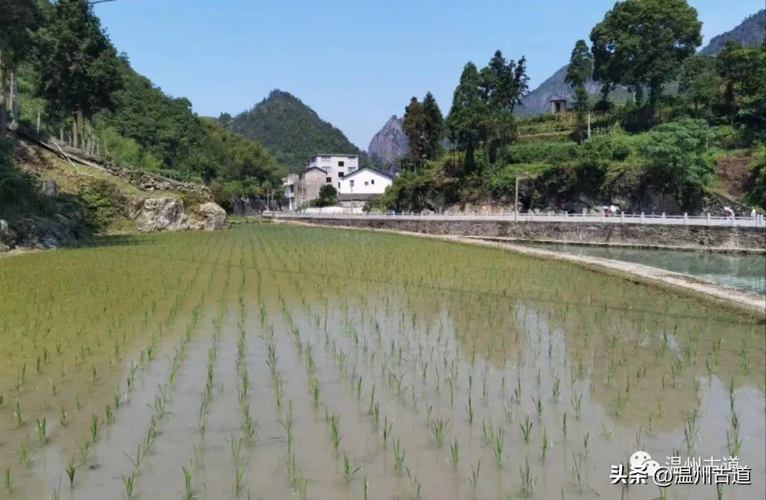 最新版iOS引领自然美景探索之旅，走向宁静远方
