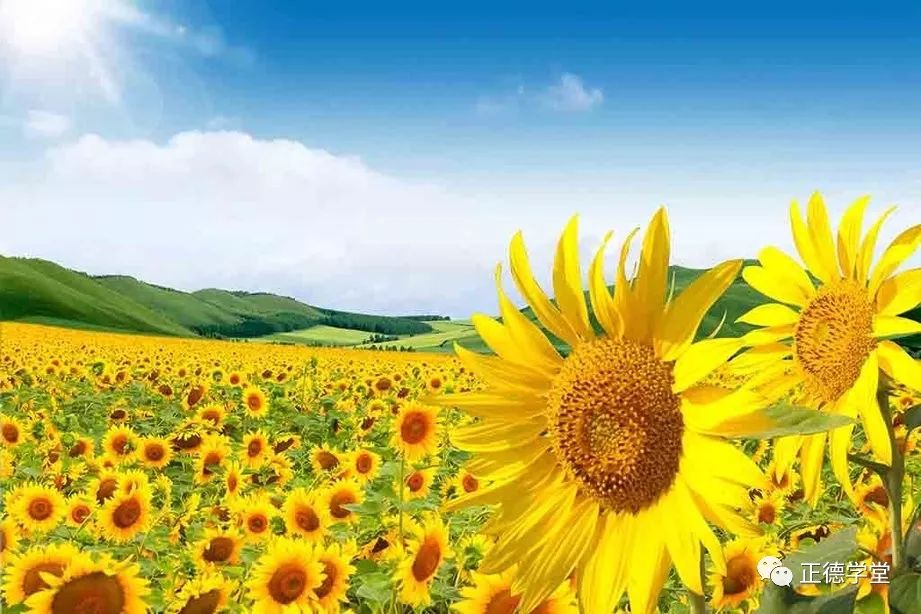 葵最新,学习之光与自信成就的力量