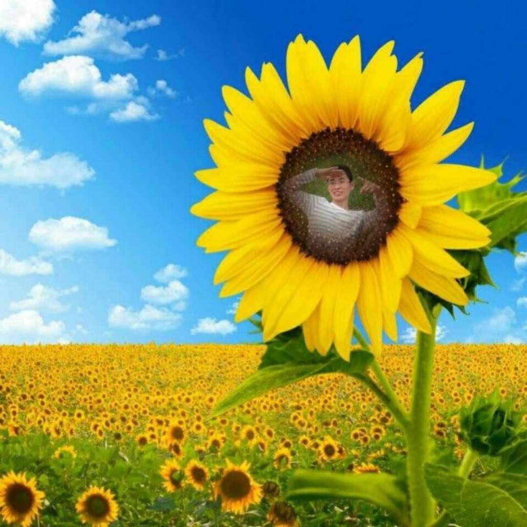 葵最新,学习之光与自信成就的力量