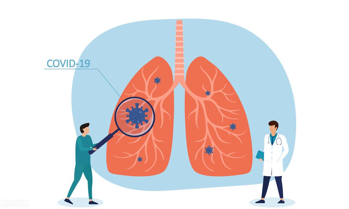 最新号一览众观点,深度探讨与解析
