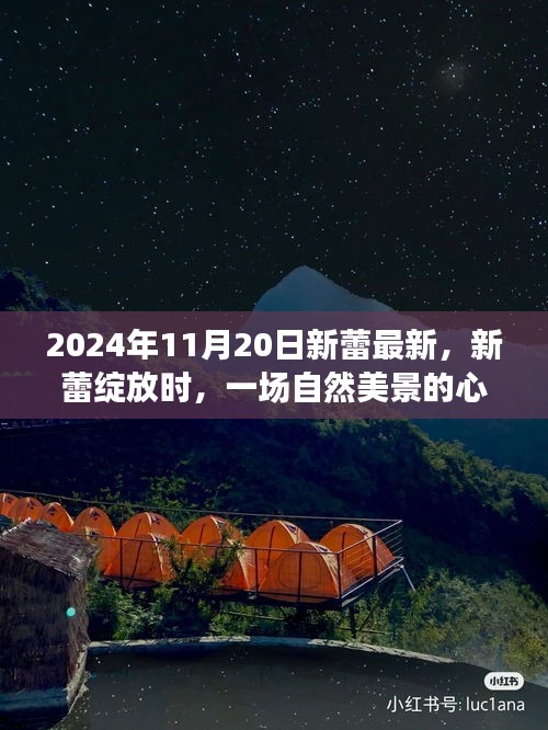 启程心灵与自然的美妙遨游之旅!