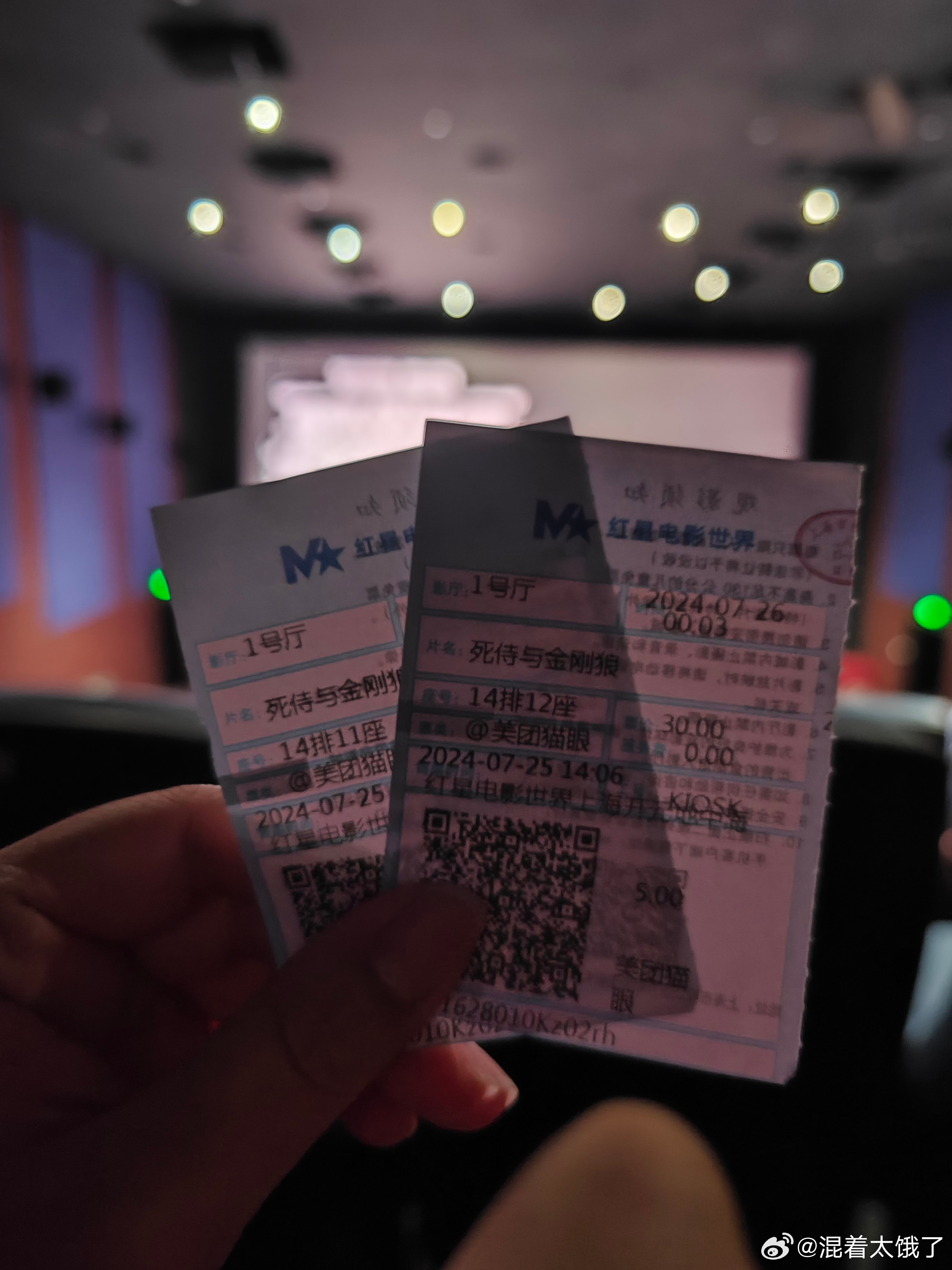 最新电影票,文化消费现象的深度探讨