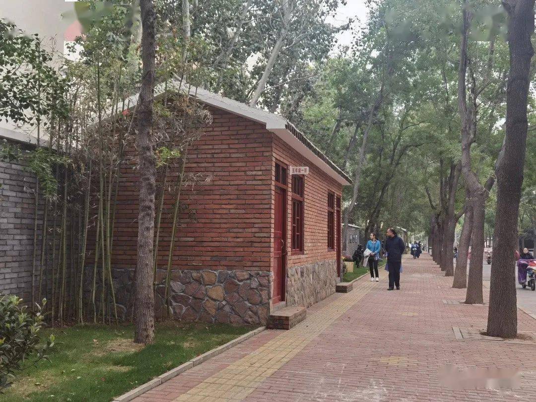 鹤壁最新动态，小巷深处的独特风味探秘