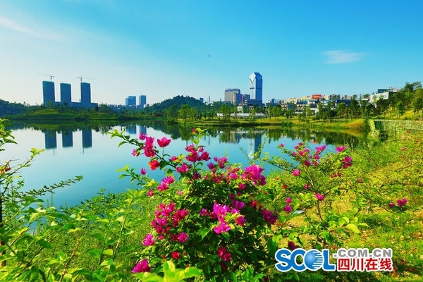 遂宁最新资讯更新,最新动态与消息汇总