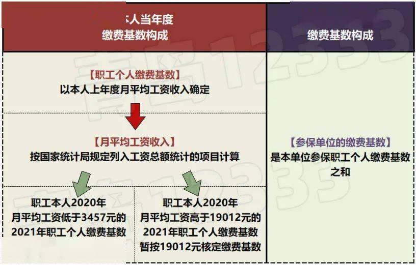 社保最新基数详解,一步指南带你了解操作流程与步骤